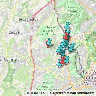 Mappa Via Andrea Barbato, 00168 Roma RM, Italia (1.6555)