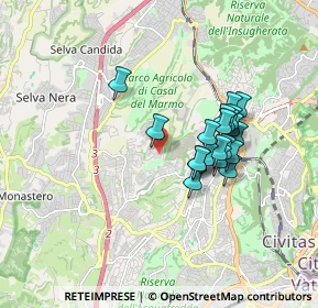 Mappa Via Andrea Barbato 31 CC, 00168 Roma RM, Italia (1.5175)