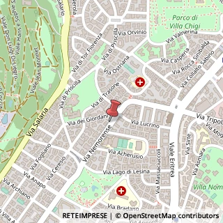 Mappa Via Nemorense, 97, 00199 Roma, Roma (Lazio)