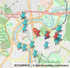 Mappa Viale De Coubertin Pietro, 00196 Roma RM, Italia (1.067)