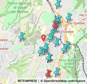 Mappa Via dei Bruno, 00168 Roma RM, Italia (0.9585)