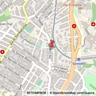 Mappa Via Cogoleto, 49, 00168 Roma, Roma (Lazio)