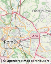 Agenzie di Animazione e Spettacolo Roma,00198Roma