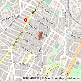 Mappa Via Pietro Adami, 29, 00168 Roma, Roma (Lazio)