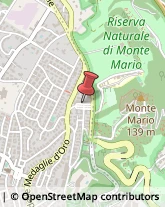 Piazzale delle Medaglie d'Oro, 58,00136Roma