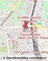 Via Cesare Rasponi, 11,00162Roma