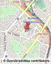 Via Cirenaica, 15,00199Roma