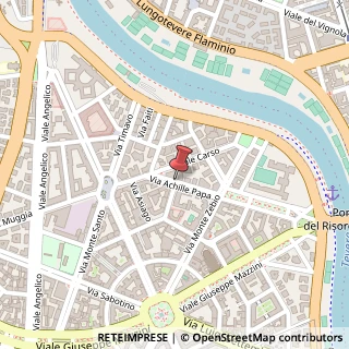 Mappa Via Achille Papa,  7, 00195 Roma, Roma (Lazio)