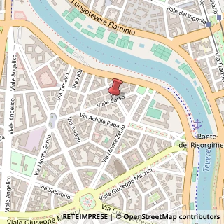 Mappa Viale Carso,  44, 00195 Roma, Roma (Lazio)