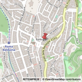 Mappa Piazza Carlo Mazzaresi, 9, 00136 Roma, Roma (Lazio)