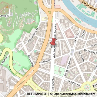 Mappa Viale Angelico,  163, 00195 Roma, Roma (Lazio)