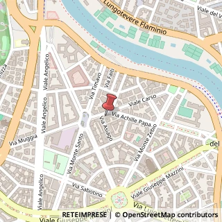 Mappa Viale Carso, 14, 00195 Roma, Roma (Lazio)