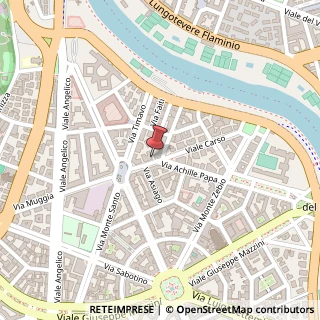 Mappa Viale Carso, 57, 00195 Roma, Roma (Lazio)