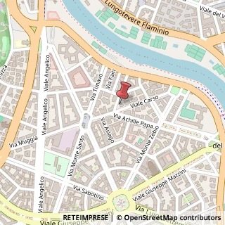 Mappa Viale Carso, 61, 00195 Roma, Roma (Lazio)