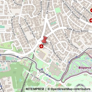 Mappa Via G. De Notaris, 2/B, 00197 Roma, Roma (Lazio)