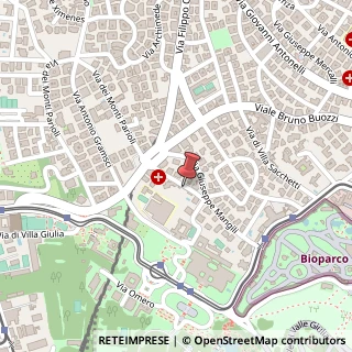 Mappa Via Giuseppe de Notaris, 6, 00197 Roma, Roma (Lazio)