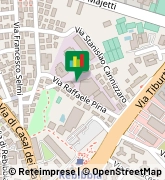 Via Raffaele Piria, 6,00123Roma