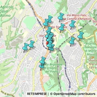 Mappa Parco Lineare Ciclopedonale Monte Ciocci- Monte Mario, 00168 Roma RM, Italia (0.728)