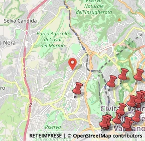 Mappa Via Vincenzo Tomassini, 00168 Roma RM, Italia (3.79)