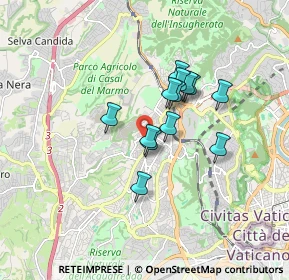 Mappa Via Vincenzo Tomassini, 00168 Roma RM, Italia (1.31)