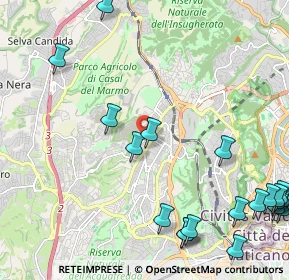 Mappa Via Vincenzo Tomassini, 00168 Roma RM, Italia (3.27)