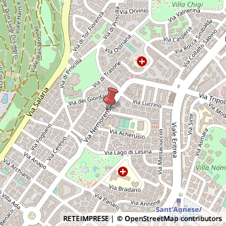 Mappa Via Nemorense, 81, 00199 Roma, Roma (Lazio)