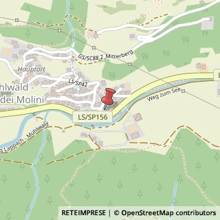 Mappa Via Principale, 13, 39030 Selva dei Molini, Bolzano (Trentino-Alto Adige)
