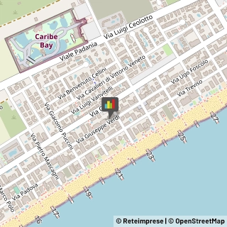 Locali, Birrerie e Pub,30016Venezia