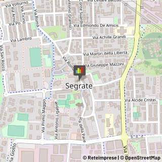 Consulenze Speciali Segrate,20054Milano