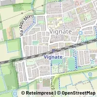 মানচিত্র Vignate