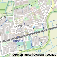 মানচিত্র Vignate