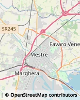 Fisiokinesiterapia - Medici Specialisti Venezia,30173Venezia