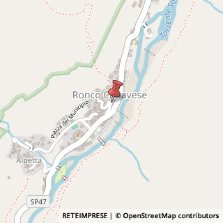 Mappa Via vittorio emanuele 1, 10080 Ronco Canavese, Torino (Piemonte)