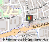 Vivai Piante e Fiori Carugate,20090Milano