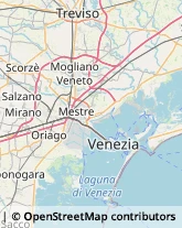 Agenzie di Animazione e Spettacolo Venezia,30175Venezia