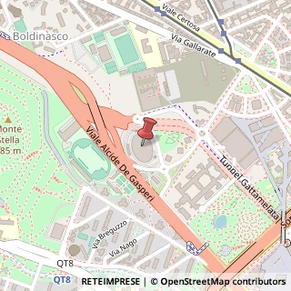 Mappa Viale Achille Papa, 30, 20149 Milano, Milano (Lombardia)