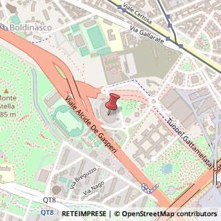 Mappa Viale Achille Papa, 30, 20159 Milano, Milano (Lombardia)