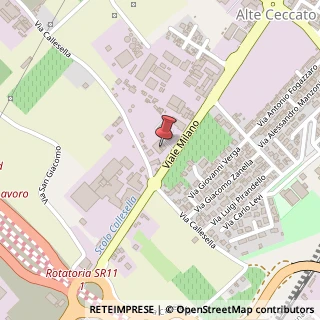 Mappa Viale Milano, 42, 36075 Montecchio Maggiore, Vicenza (Veneto)