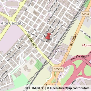 Mappa Viale Stazione, 81, 36075 Montecchio Maggiore, Vicenza (Veneto)