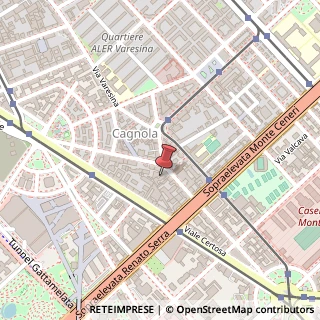 Mappa Via Giovanni Antonio Plana, 49, 20155 Milano, Milano (Lombardia)