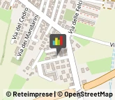 Imprese Edili,30173Venezia