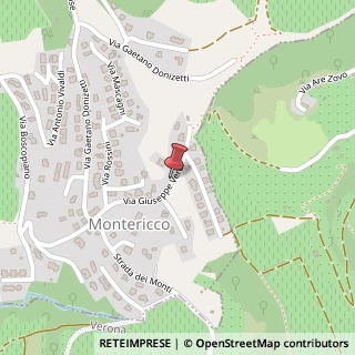Mappa Via Giuseppe Verdi,  9, 37024 Negrar, Verona (Veneto)