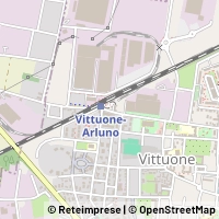 Carte Vittuone