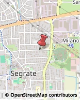 Via A. Grandi, 52,20090Segrate