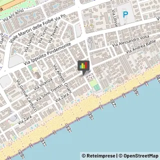 Riso Jesolo,30016Venezia