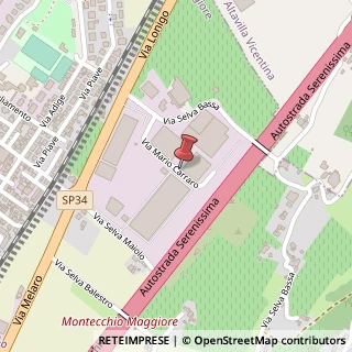 Mappa Via Mario Carraro, 13, 36075 Montecchio Maggiore, Vicenza (Veneto)