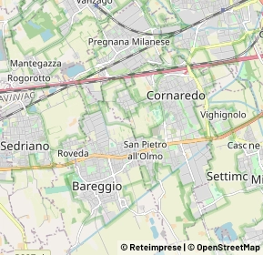 Mappa 20007 Bareggio MI, Italia (2.164)