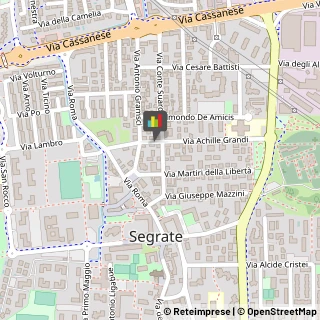 Sartorie Segrate,20054Milano