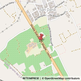 Mappa Viale Giovanni Capreoli, 14, 73034 Gagliano del Capo, Lecce (Puglia)
