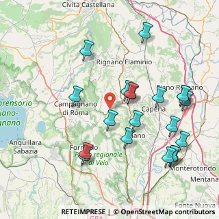 Mappa Via Campagnanese KM 2+500, 00060 Castelnuovo di Porto RM, Italia (9.084)